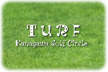 �g�b�v�C���[�W