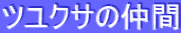 �c���N�T�̒���