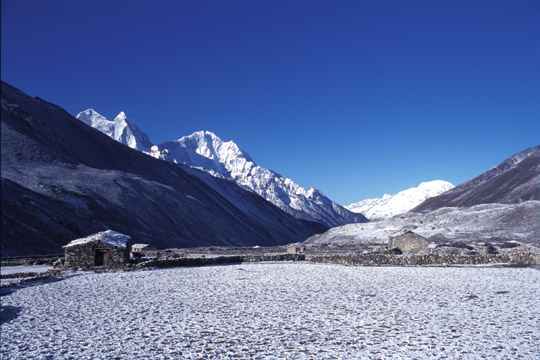 photo_��̃f�B���{�`�F