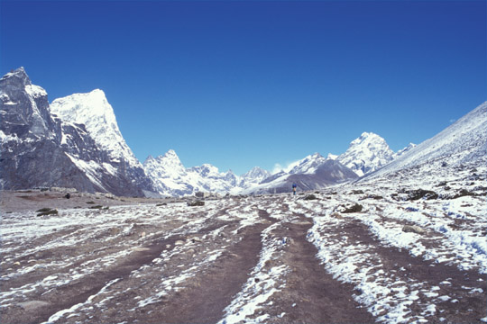 photo_�J���p�^�[����