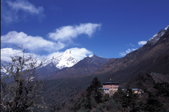 photo_�^���{�`�F���@