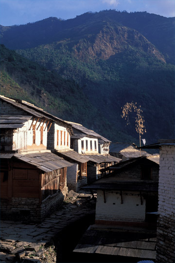 photo_�E�����̒�����