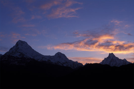 photo_�v�[���q�����