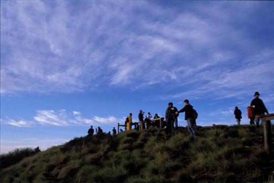 photo_�v�[���q��