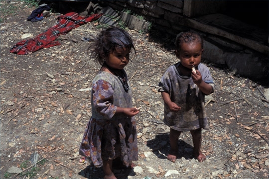 photo_�q������