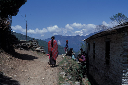 photo_�w�Z�ƃ_�E���M��