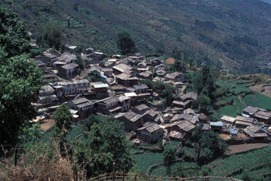 photo_������