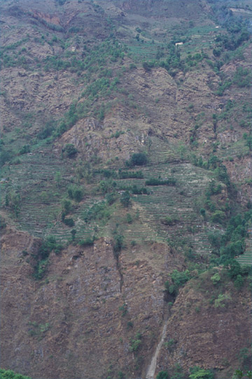 photo_�i�X��