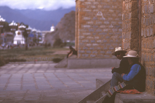 photo_�E�����̒�����