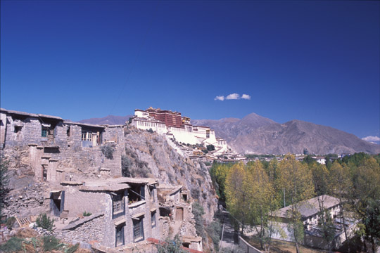 photo_�E�����̒�����