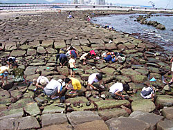 原釜尾浜人工磯場
