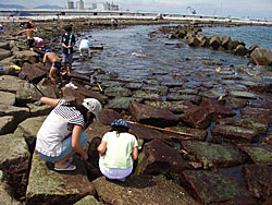 原釜尾浜人工磯場